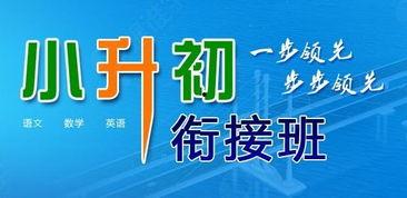 南京小升初爆料新闻报道,最新爆料揭示升学新动向