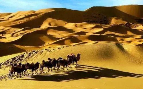 最新沙漠爆料,探寻未知的神秘世界