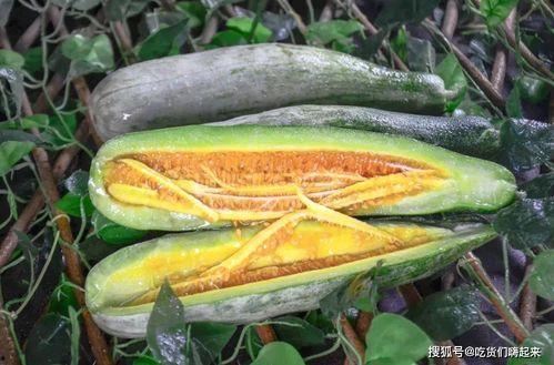 可以吃所有网红瓜的网站,揭秘热门话题背后的真相