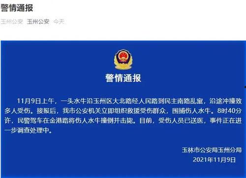 玉林爆料新闻,惊曝某知名企业涉嫌违规操作，引发社会关注